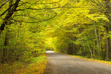 Similar image 7752565