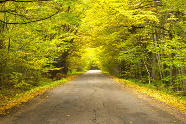 Similar image 7752566