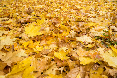 Similar image 7752573