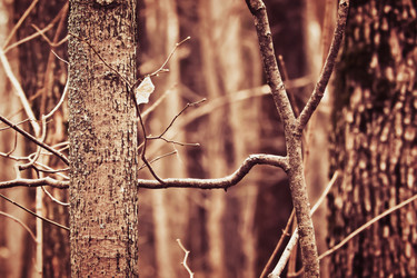 Similar image 7752578