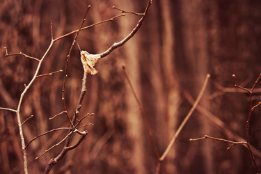 Similar image 7752579