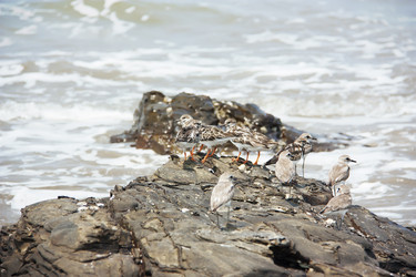 Similar image 7752599