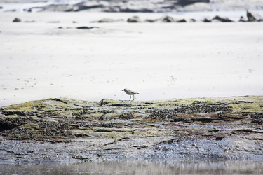 Similar image 7752601