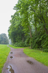 Similar image 7752626