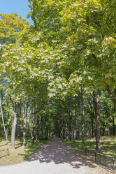 Similar image 7752627