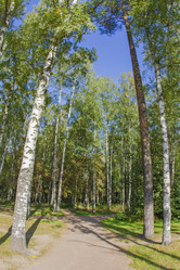 Similar image 7752630