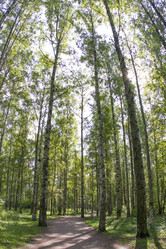 Similar image 7752636