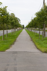 Similar image 7752638