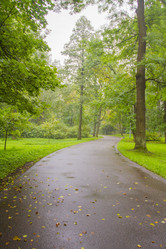 Similar image 7752640