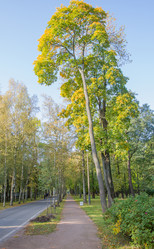 Similar image 7752723