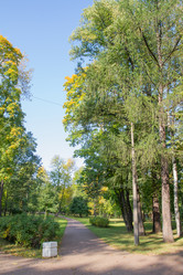 Similar image 7752725