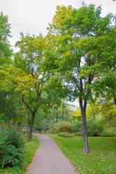 Similar image 7752728