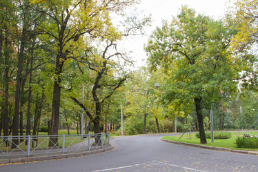 Similar image 7752731