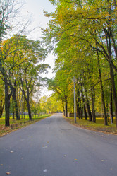 Similar image 7752736