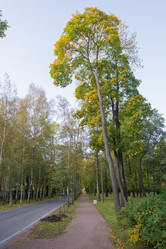 Similar image 7752738