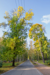 Similar image 7752740