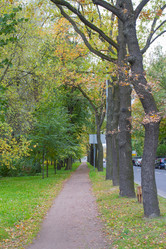 Similar image 7752767