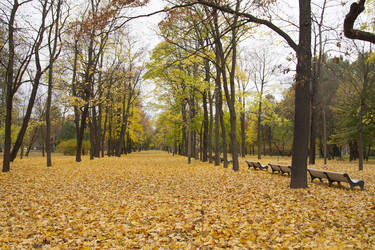 Similar image 7752772