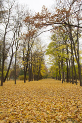 Similar image 7752774