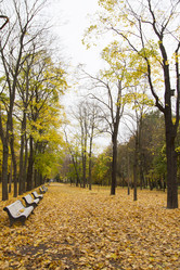 Similar image 7752775