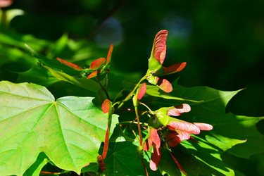 Similar image 7752866