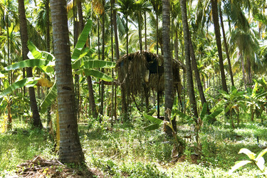 Similar image 7752868