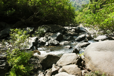 Similar image 7752869