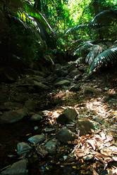 Similar image 7752870