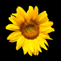 Similar image 7752871