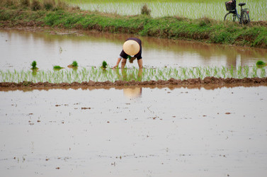 Similar image 7752880