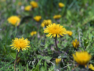 Similar image 7752884