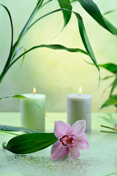 Similar image 7752937