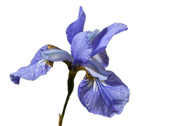 Similar image 7752976