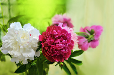 Similar image 7752977