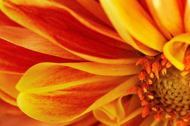 Similar image 7752978