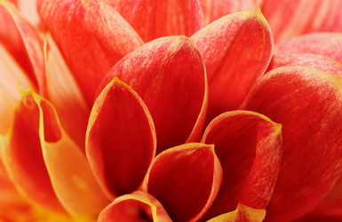 Similar image 7752979