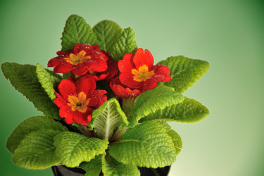 Similar image 7752981