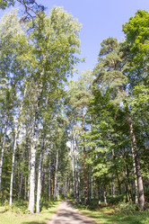 Similar image 7753016