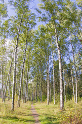 Similar image 7753020