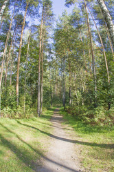 Similar image 7753021