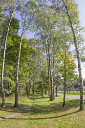 Similar image 7753029