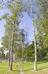 Similar image 7753031