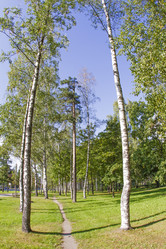 Similar image 7753033