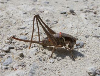 Similar image 7753034