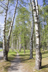 Similar image 7753052