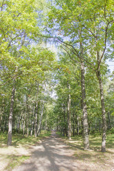 Similar image 7753056