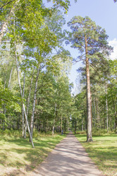 Similar image 7753060