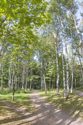 Similar image 7753062