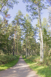 Similar image 7753066