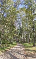 Similar image 7753068